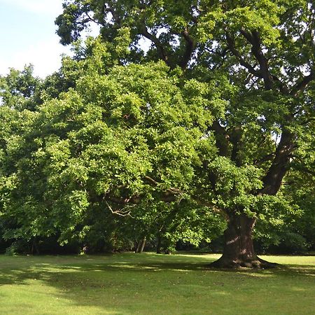 מלון צ'ינגפורד Gilwell Park מראה חיצוני תמונה