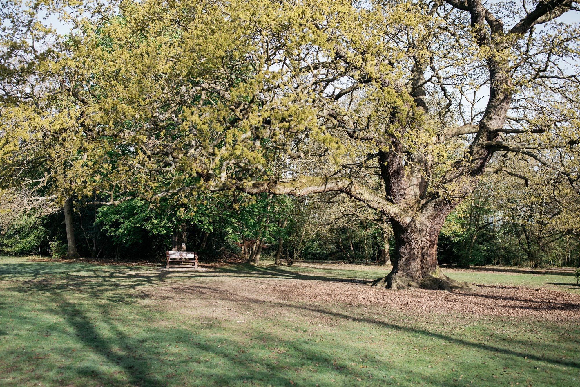 מלון צ'ינגפורד Gilwell Park מראה חיצוני תמונה