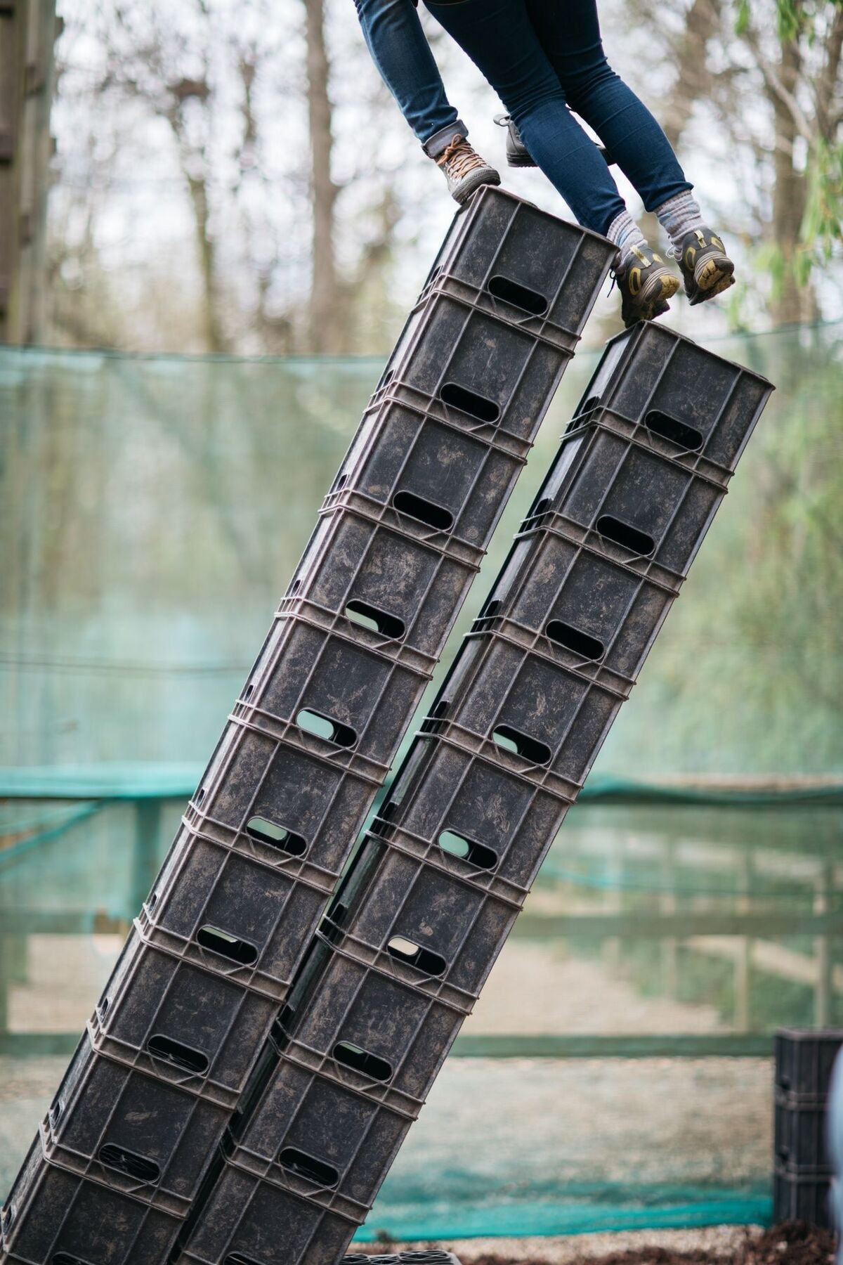 מלון צ'ינגפורד Gilwell Park מראה חיצוני תמונה